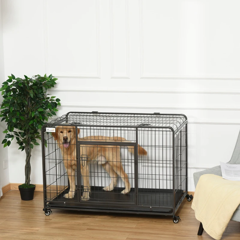 Golden dog standing inside a black wire crate in a living room.