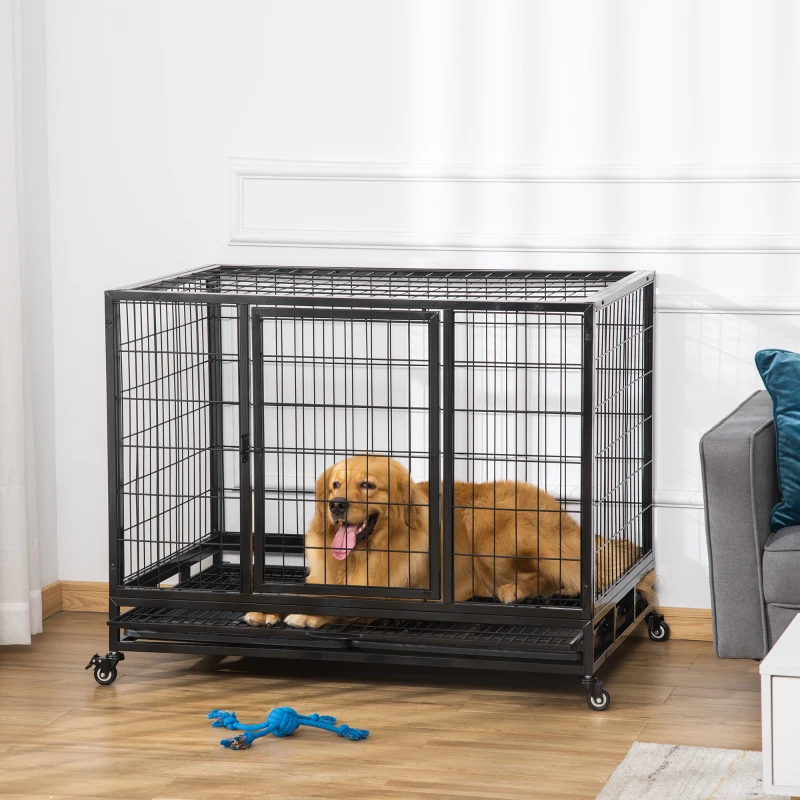 Golden dog lying inside a large black metal crate indoors.