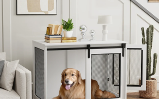 Large dog beside oversized crate appearing unsure about entering.