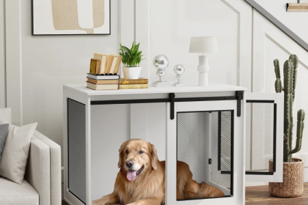 Large dog beside oversized crate appearing unsure about entering.