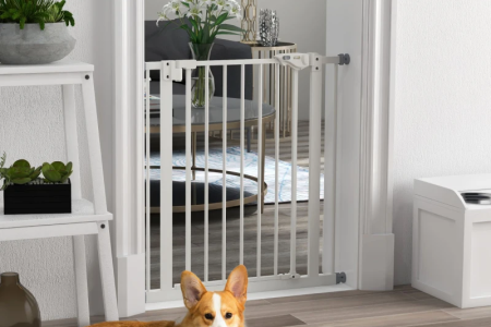 White wooden DIY dog gate with cross-brace design installed in a bright modern home entryway.