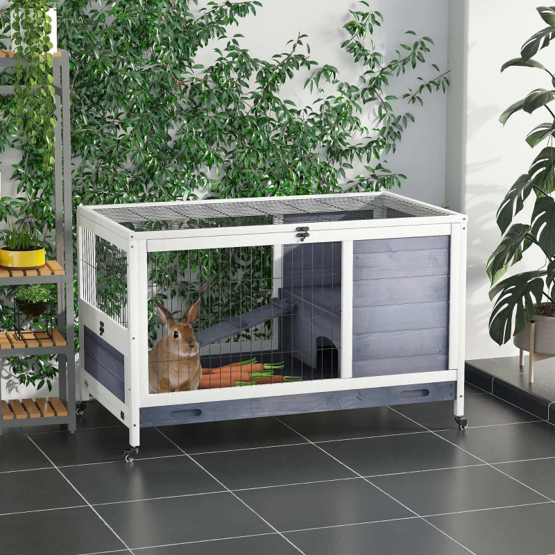 How Big Does a Rabbit Hutch Need to Be: Complete Guide - Aosom