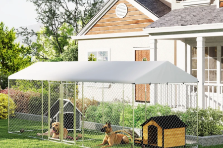 Two dogs relaxing inside a large outdoor fenced kennel with canopy cover.