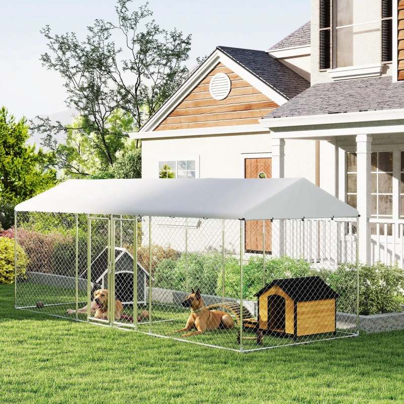 Two dogs relaxing inside a large outdoor fenced kennel with canopy cover.