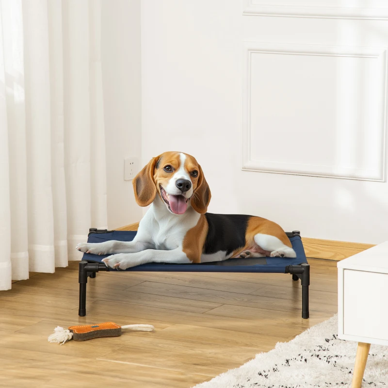 Beagle resting on an elevated dog cot in a bright living room.