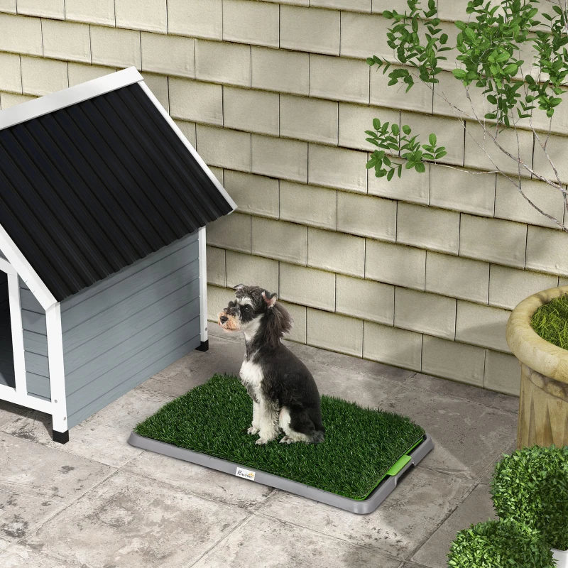Small dog sitting on a grass potty mat beside an outdoor dog house.