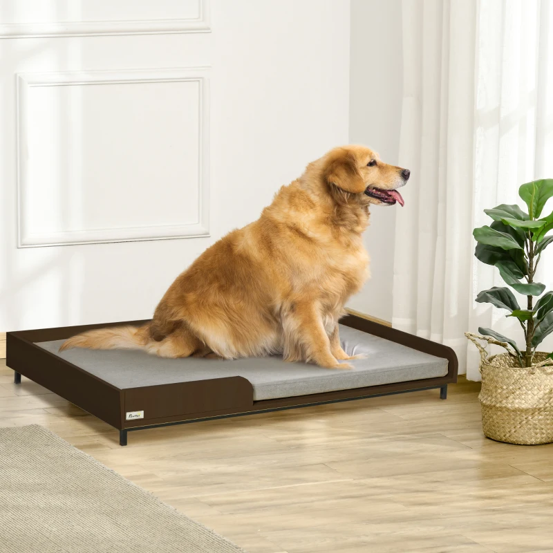  Large golden retriever sitting on a low, modern dog bed indoors.