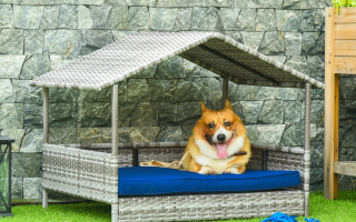 Happy corgi rests on a blue cushion in a covered outdoor wicker dog bed.