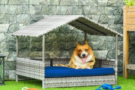 Happy corgi rests on a blue cushion in a covered outdoor wicker dog bed.